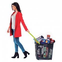Cesto de compras com 4 rodas