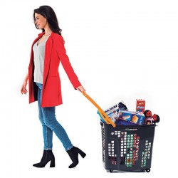 Cesto de compras com 4 rodas