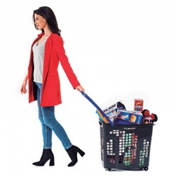 Cesto de compras com 4 rodas