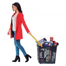 Cesto de compras com 4 rodas
