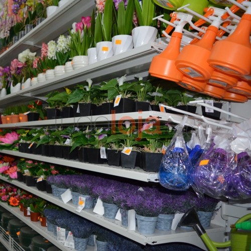 estante para venda de artigos de jardim