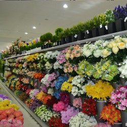 estante para venda de flores artificiais