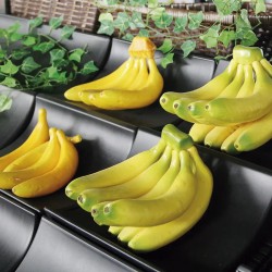 Expositor Bananas Abs com 2 ondas