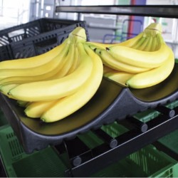 Expositor Bananas Abs com 2 ondas