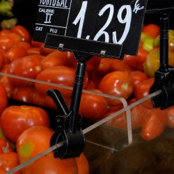 Placa de Preço Fruta com Mola