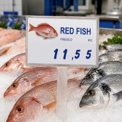 Display Preçário com Espeto para Peixaria