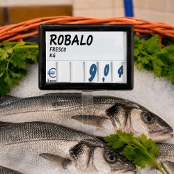Precário com números para peixe